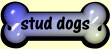 stud dogs