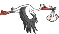 klapperstorch